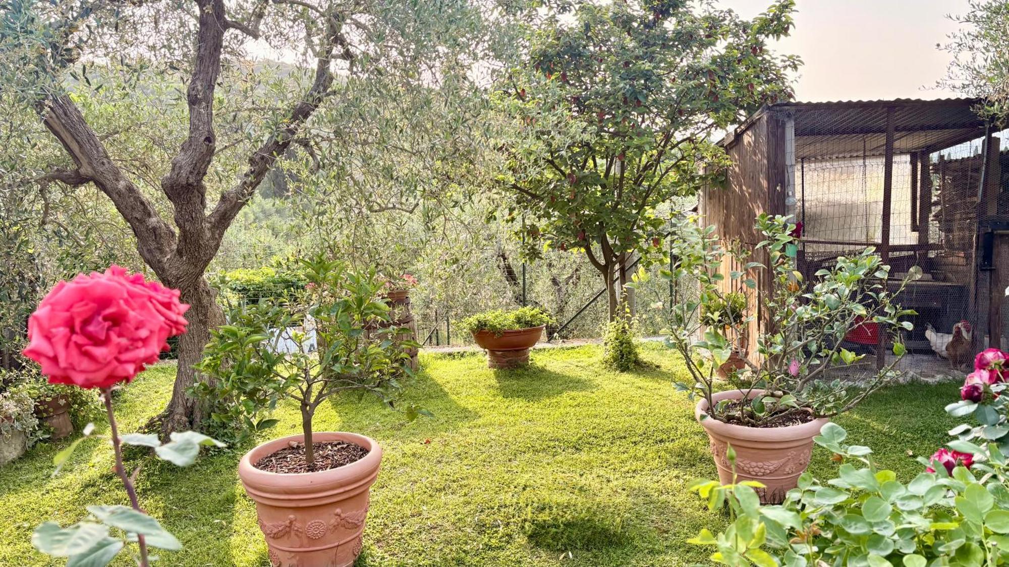 B&B Il Pozzo Sinalunga Exterior foto