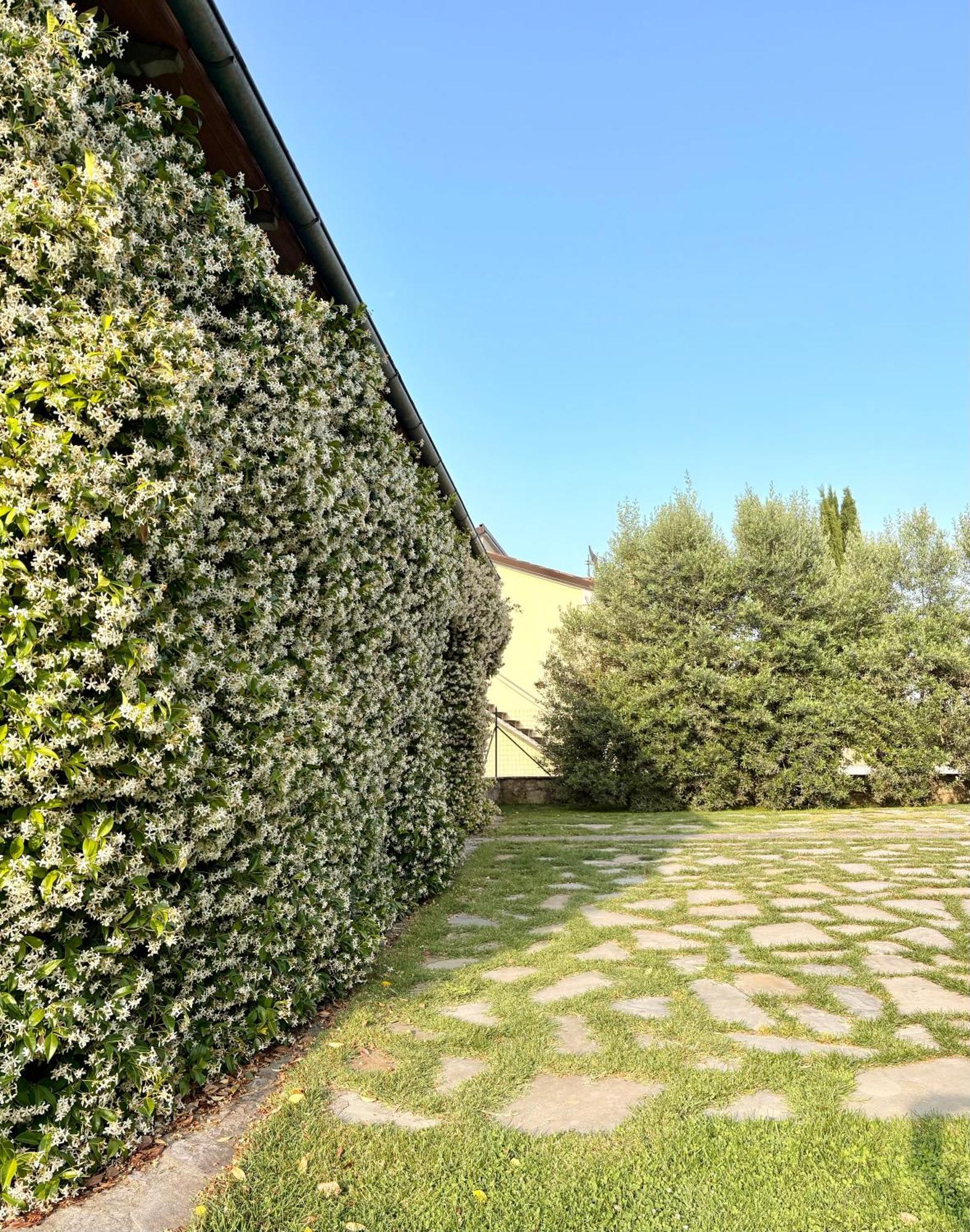 B&B Il Pozzo Sinalunga Exterior foto